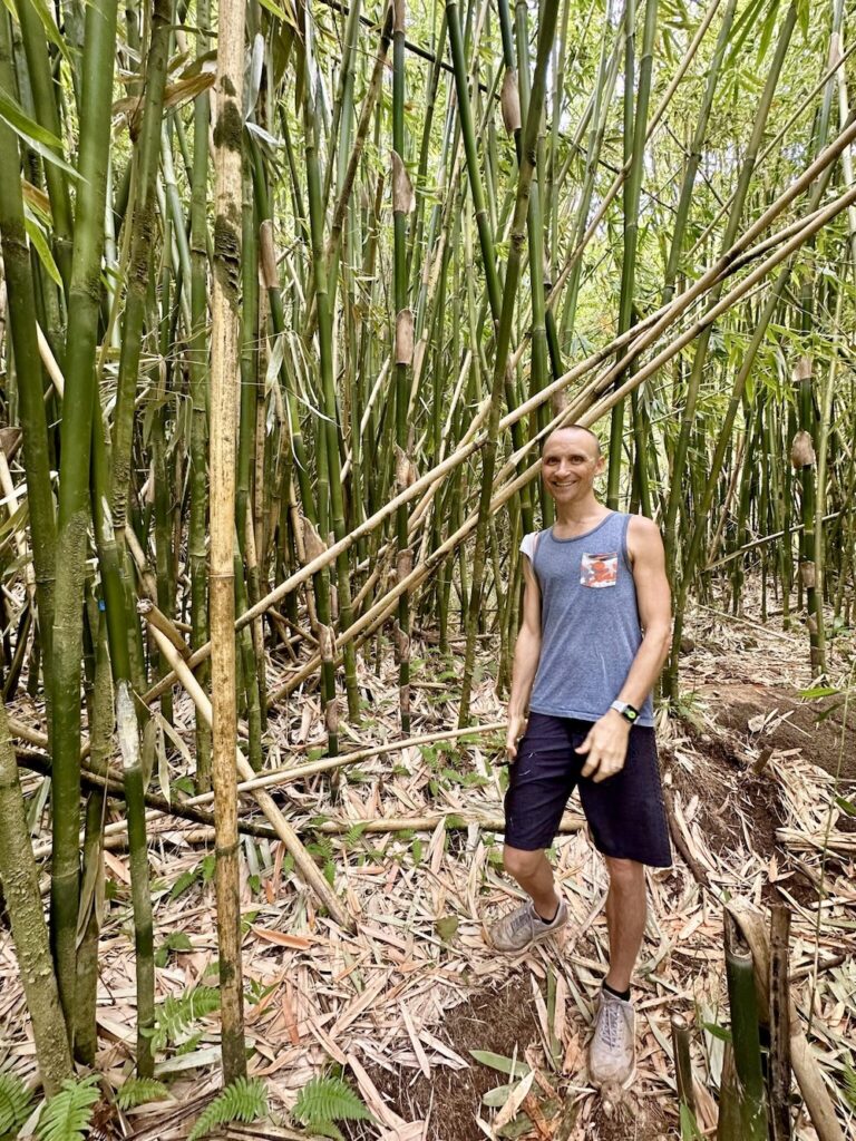 Man standing in front of a bamboo forest