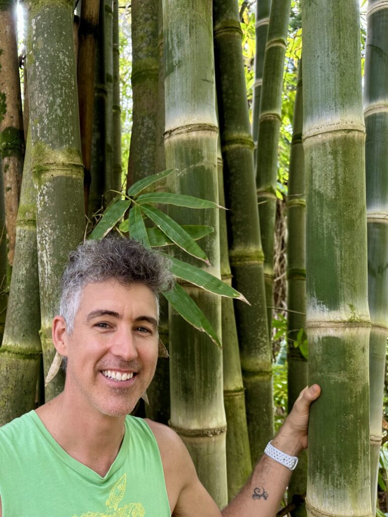 Man with his hand on a bamboo stalk that is five inches thick or more